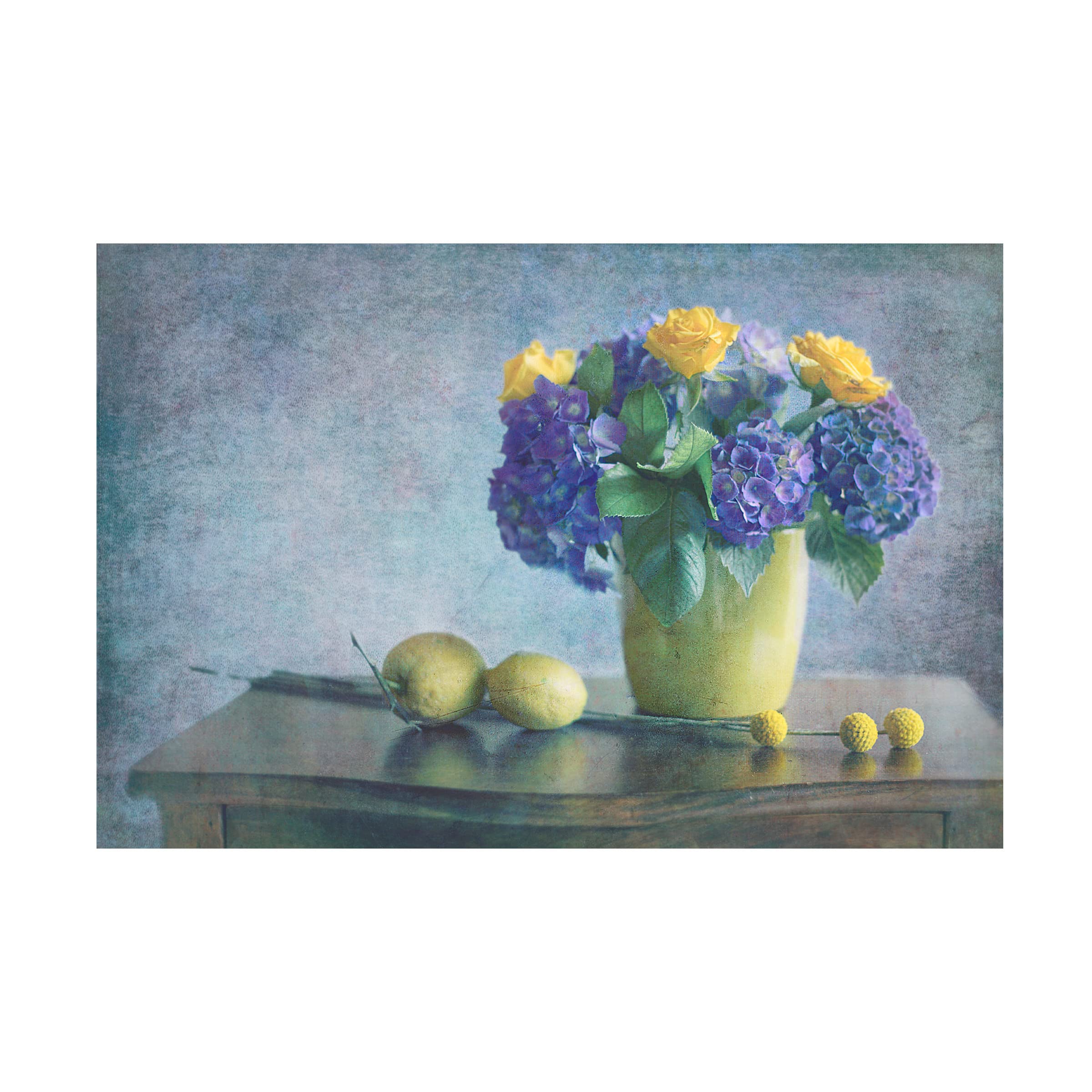 Trademark Fine Art 'Still' Canvas Wall Art by Antonella Renzulli - Modern Home Decor for Living Room, Bedroom & Office
