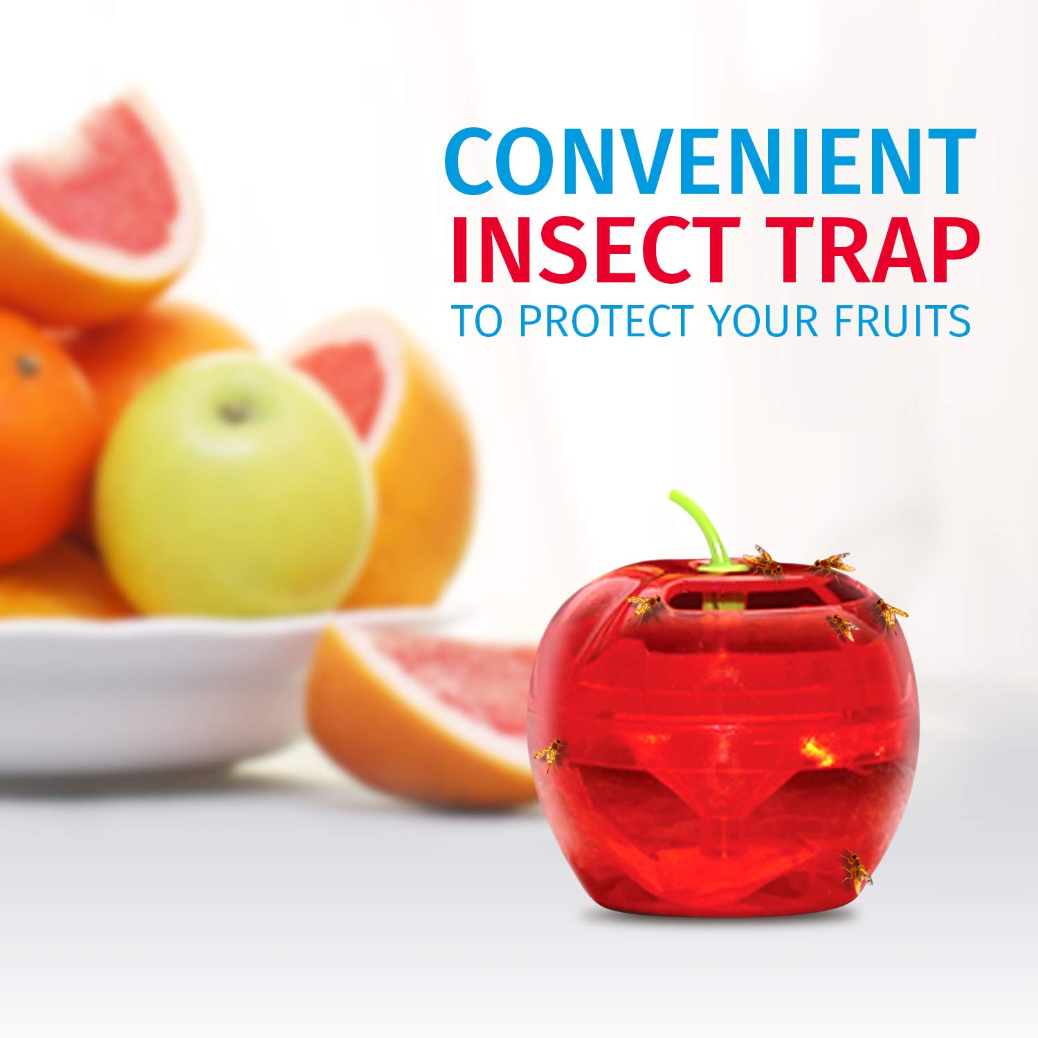 Raid Indoor Fruit Fly Traps with 2 Lures & 2 Refills - Safe Food-Based Fly Catcher for Kitchen, Bathroom - Effective Gnat Killer for Home Use | Easy to Use & Non-Toxic Fruit Fly Control Solution