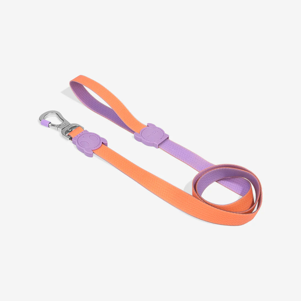 Neopro Iris Dog Collar by Zee.Dog - Durable & Stylish Pet Collar for Small & Medium Dogs - Perfect for Walks, Training & Everyday Use