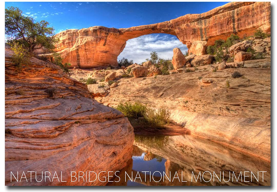 Natural Bridges National Monument Utah Souvenir - 2.5