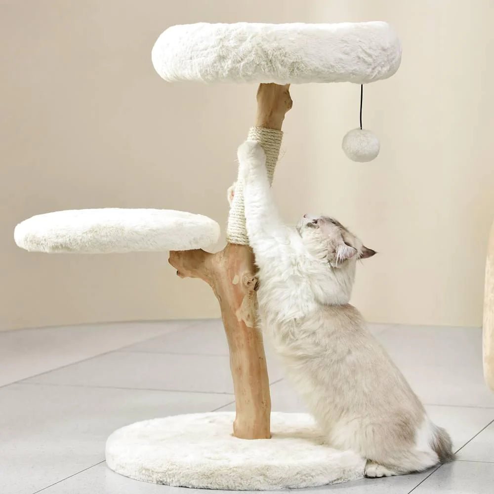 Premium Real Wood Cat Tree for Small Cats - Sturdy & Natural Climbing Perch for Kittens & Indoor Play - Perfect for Apartments & Small Spaces