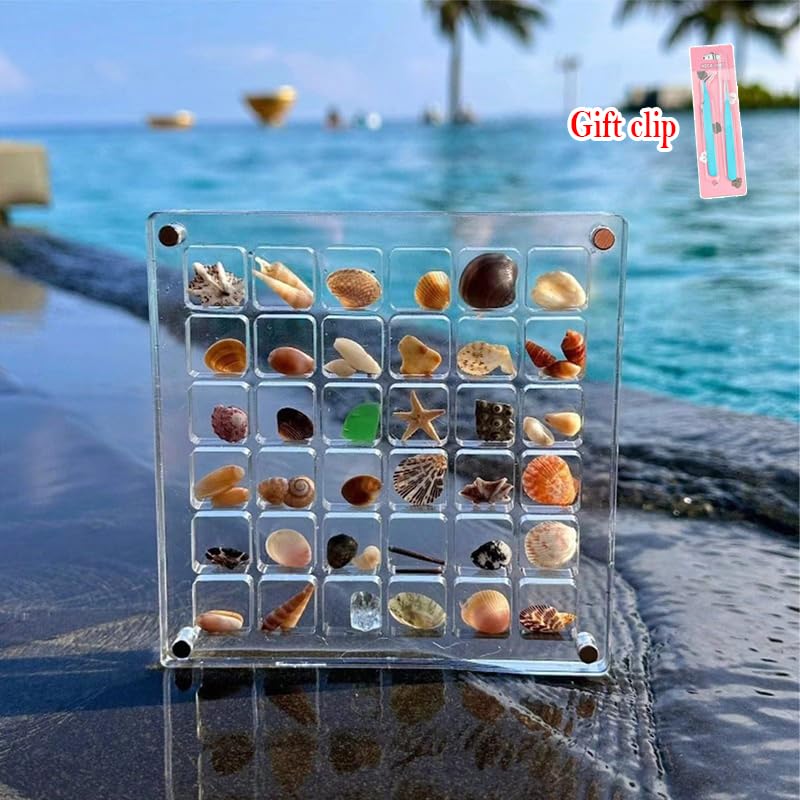 Acrylic Magnetic Seashell Display Box - 64 Grid Transparent Collectible Storage Case for Shells, Starfish & DIY Crafts | Perfect for Beach Decor, Home Display & Gift Organization