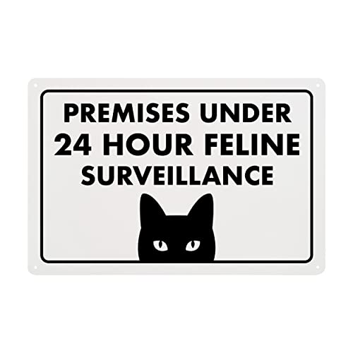 Feline Surveillance
