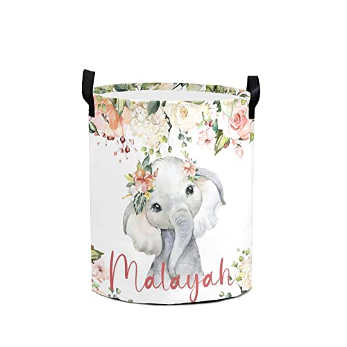 Baby elephant 02