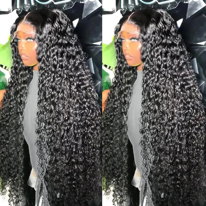 Eullair 4x4 HD Transparent Lace Closure Wig - 100% Human Hair Wigs for Women with All Textures (12
