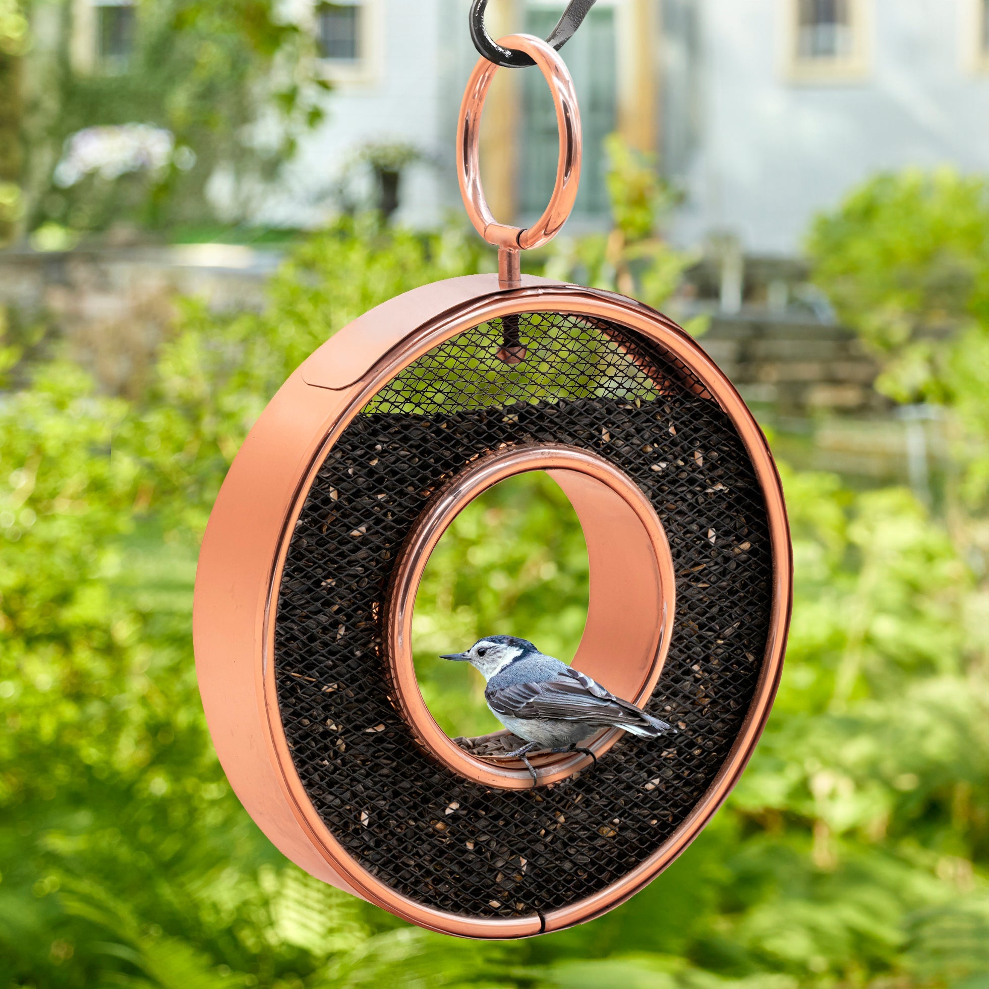Premium Copper Circle Fly-Thru Bird Feeder with Mesh Panels - Durable Outdoor Garden Decor for Attracting Wild Birds (Ideal for Backyards, Patios & Nature Observation)