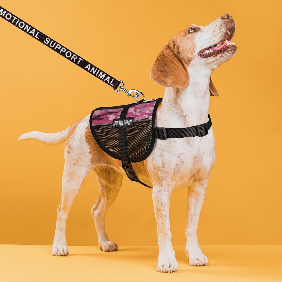 Emotional Support Dog Vest Bundle - Adjustable Service Dog Harness with Reflective ESA Patches, Leash & ID Card - Perfect for Therapy Dogs, Travel & Public Access
