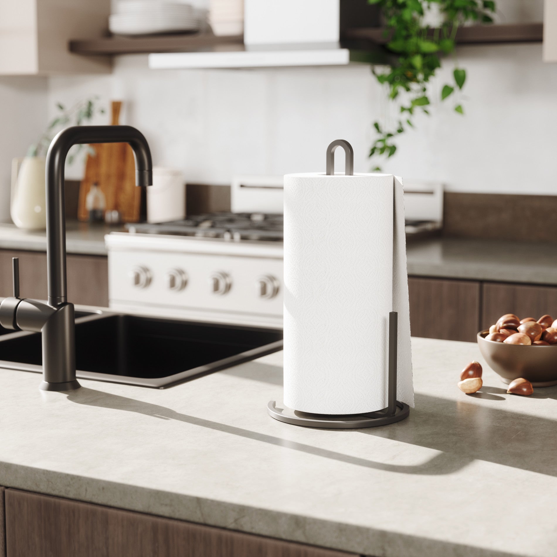 Stainless Steel Squire Paper Towel Holder - Wall Mount or Countertop, Rustproof & Durable for Kitchen, Bathroom, Office - Easy One-Hand Dispensing