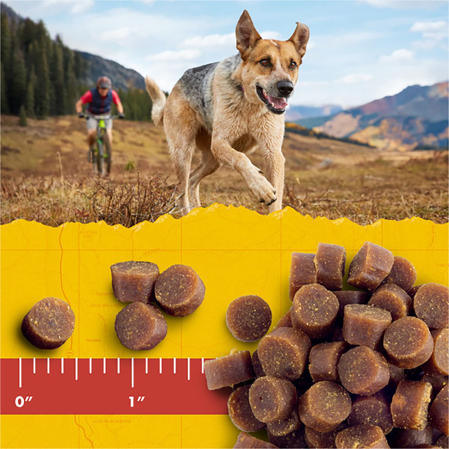 Zuke's Mini Naturals Salmon Recipe Dog Training Treats - Soft & Nutritious with Vitamins & Minerals for All Breed Sizes (16oz Pack of 2) - Perfect for Obedience Training, Reward Treats & Positive Reinforcement