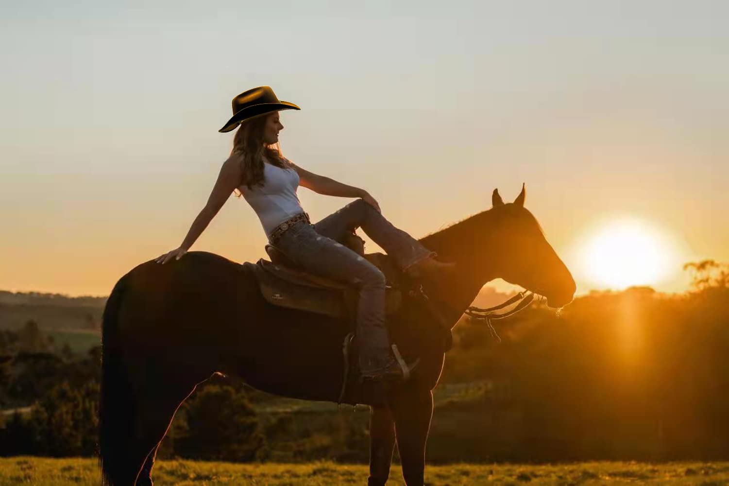 Willheoy Western Cowboy Hat for Women & Men - Adjustable Felt Cowboy Hat with Shapeable Brim - Perfect for Rodeo, Country Music Festivals & Outdoor Adventures