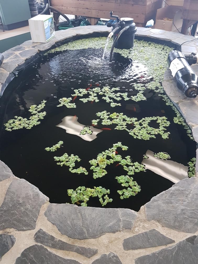 Premium PVC Pond Liner 13'1