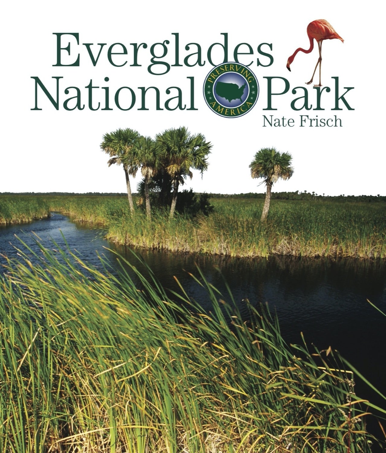 Everglades National Park Travel Guide - Explore Florida's Wetlands & Wildlife | Best Hiking, Kayaking & Eco Tours