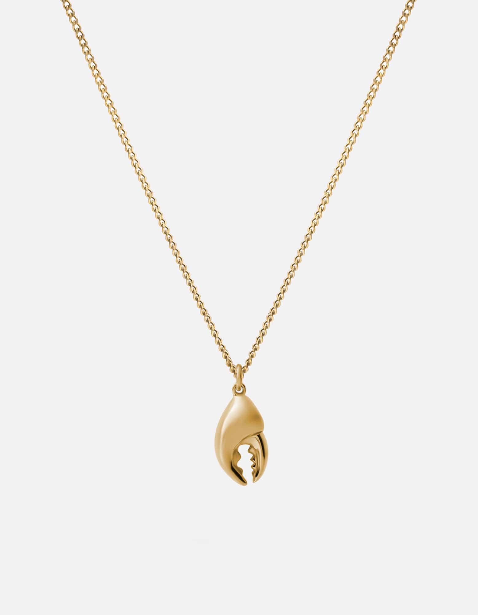 Polished Gold
