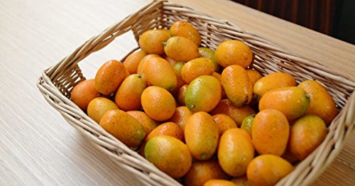 Fresh California Kumquats 5 Lbs - Farm Grown Sweet & Juicy Oval Kumquat Fruit - Perfect for Salads, Baking, Cocktails & Healthy Snacks