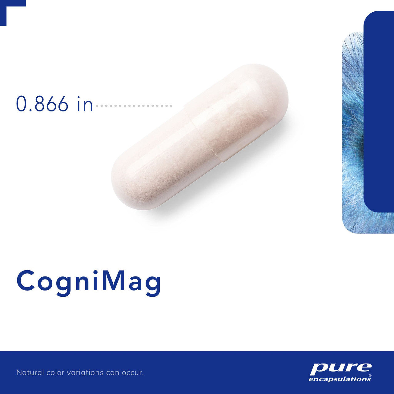 Pure Encapsulations CogniMag Magnesium L-Threonate Supplement - 120 Capsules for Brain Health, Memory & Cognitive Support - Perfect for Students, Professionals & Seniors