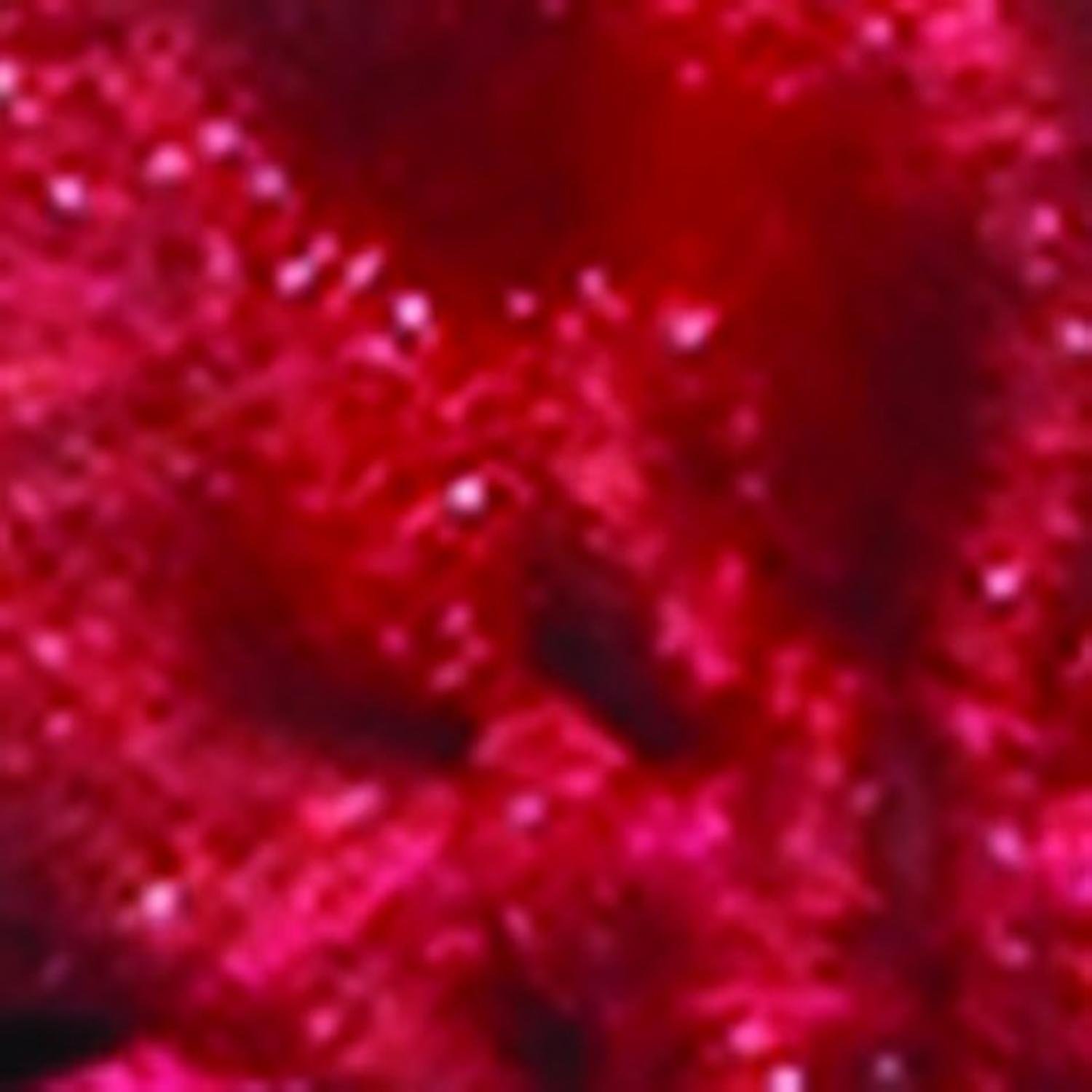 36 Pack Burgundy Organza Gift Bags 3.5
