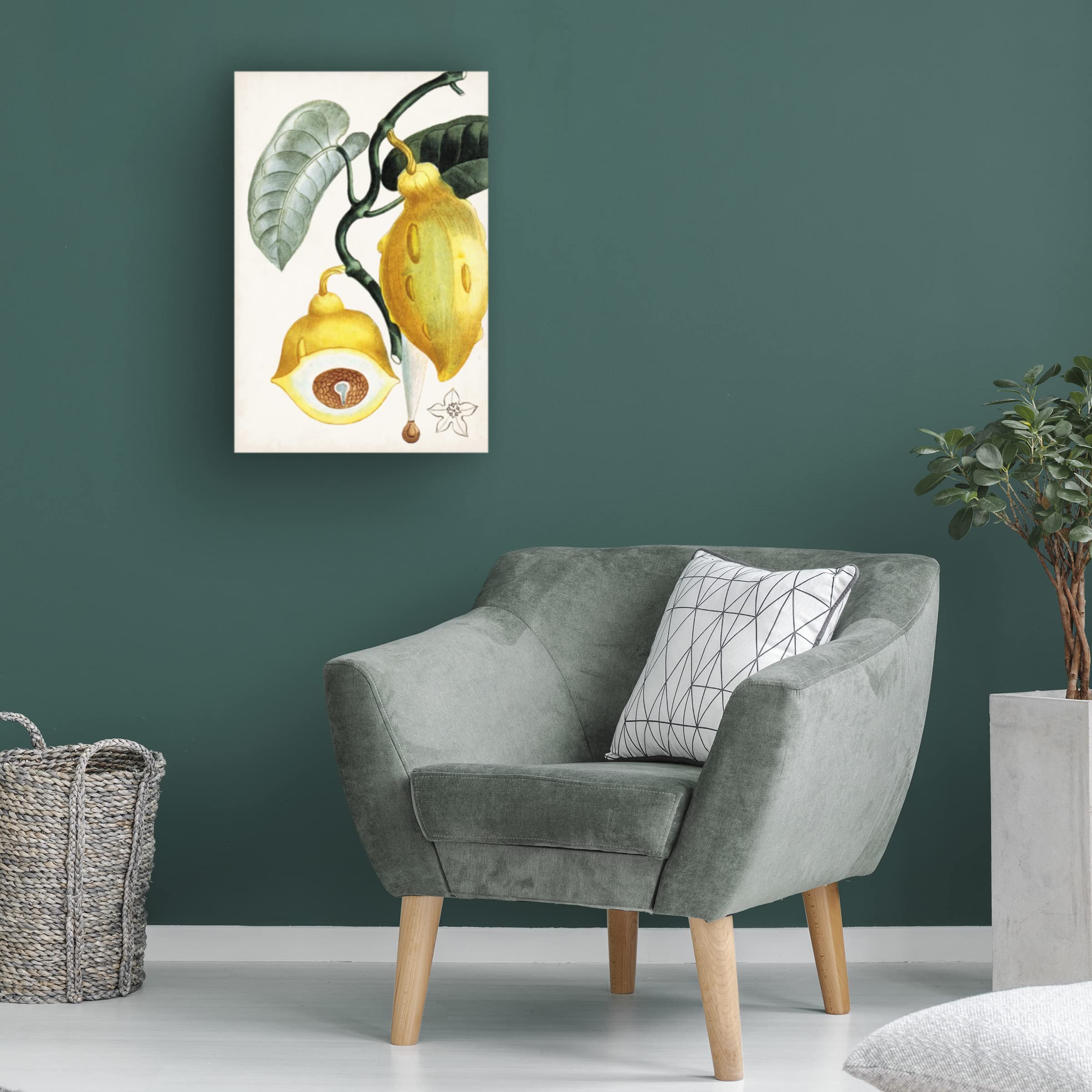 Trademark Fine Art 'Turpin Tropical Fruit IV' Canvas Wall Art Print - Vibrant Tropical Fruit Painting for Home & Office Decor, Kitchen & Dining Room Wall Decor