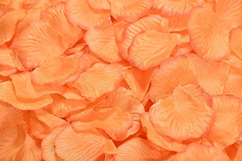 Light Orange