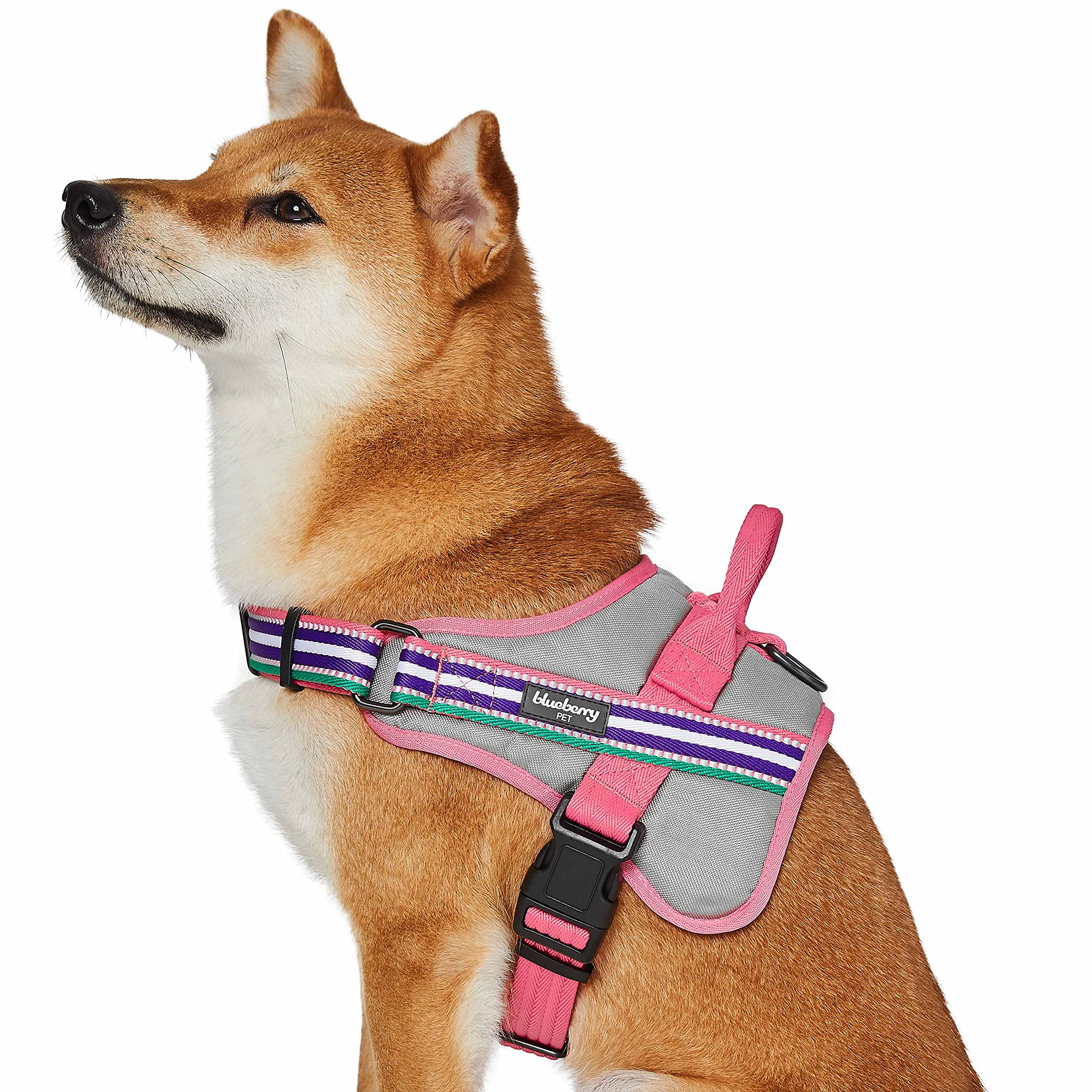 Blueberry Pet Soft & Comfy 3M Reflective Service Dog Harness Vest - Breathable Mesh Padded Harness for Large Dogs | Multi-Colored Stripe (Pink, Emerald, Orchid) | Perfect for Night Walks, Training & Outdoor Adventures