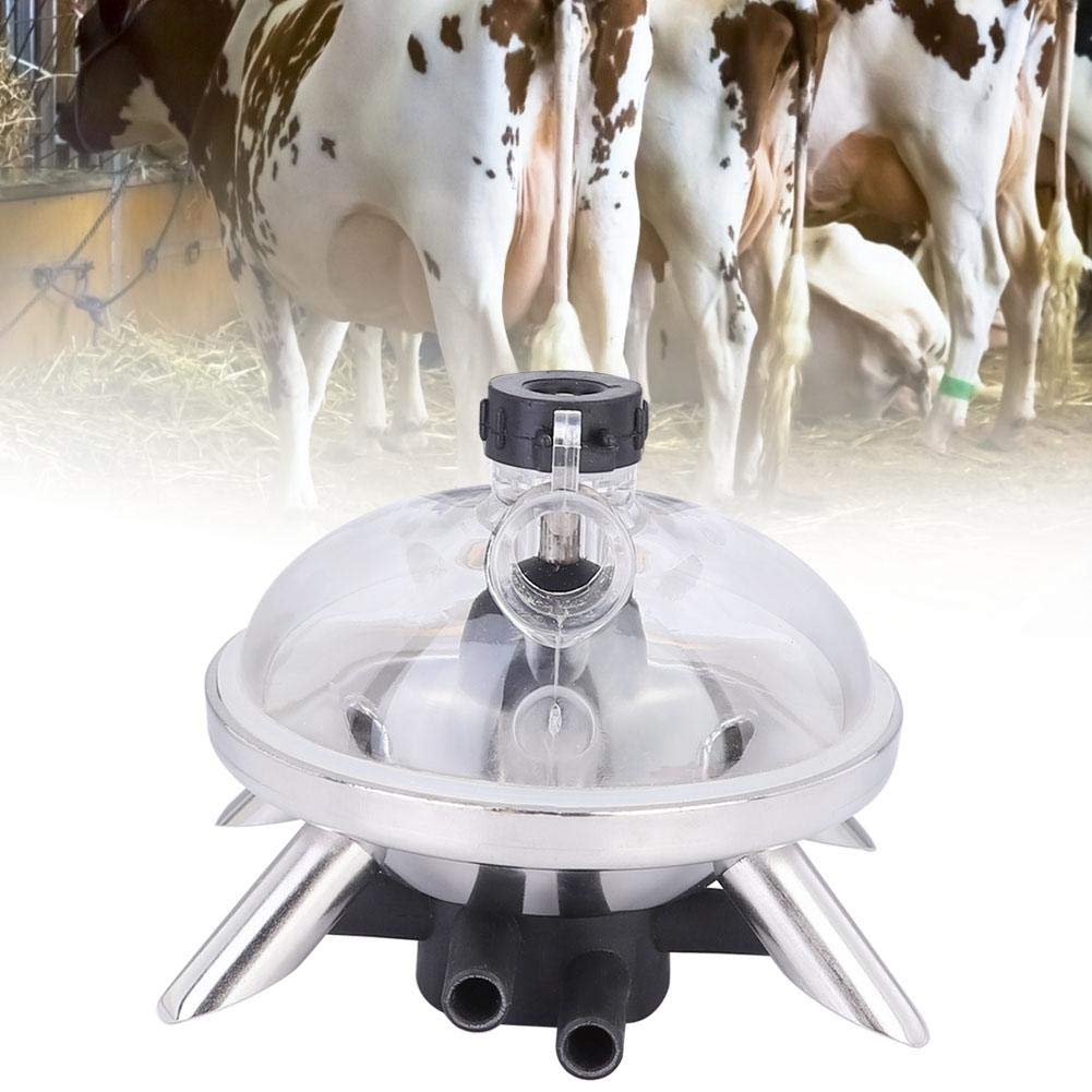 Yosoo 240cc Milking Claw for Cows & Sheep - Stainless Steel Milk Collector Tool | Durable Milking Machine Accessories for Farm Use, Dairy Production & Homesteading