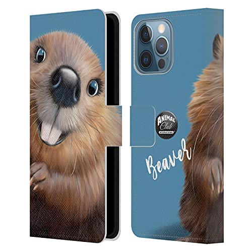 Beaver