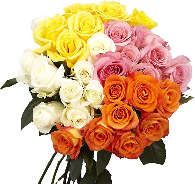 Premium 100 Assorted Long Stem Roses (50cm/20in) - Fresh Wedding Flowers for Birthdays, Anniversaries, Mother's Day - Perfect Romantic Gift & Home Decor