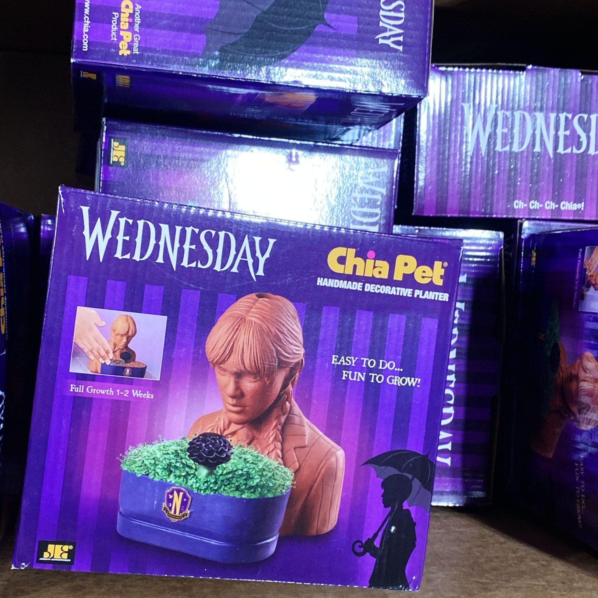 Wednesday Chia Pet Handmade Decorative Planter - Set of 40 Unique Succulent Planters for Home & Office Decor, Wedding Favors, and Gift Ideas
