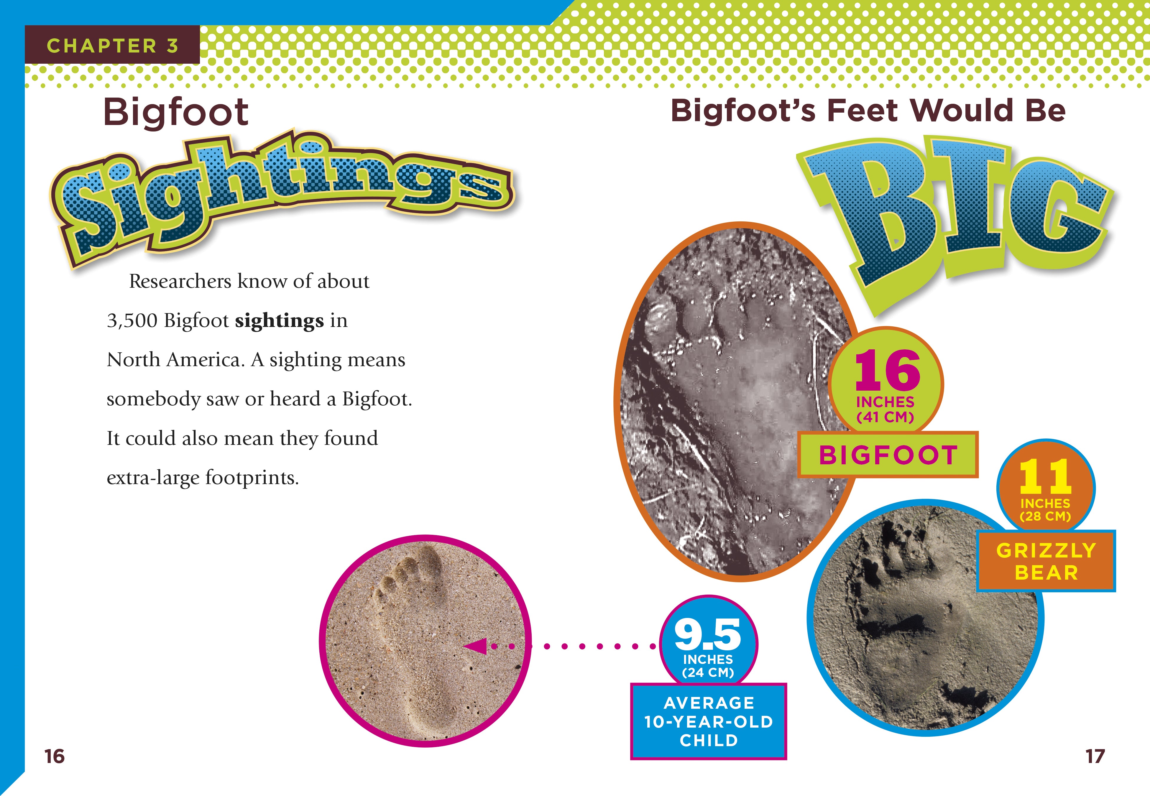 Bigfoot Strange But True - Cryptid Evidence & Sightings - Explore Mysterious Encounters for Outdoor Adventures & Paranormal Research