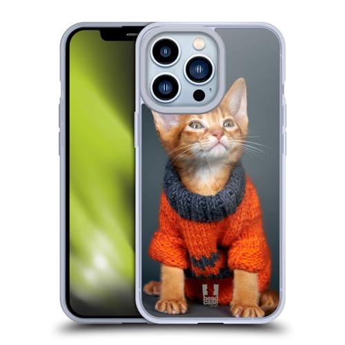 Orange Abyssinian Kitten
