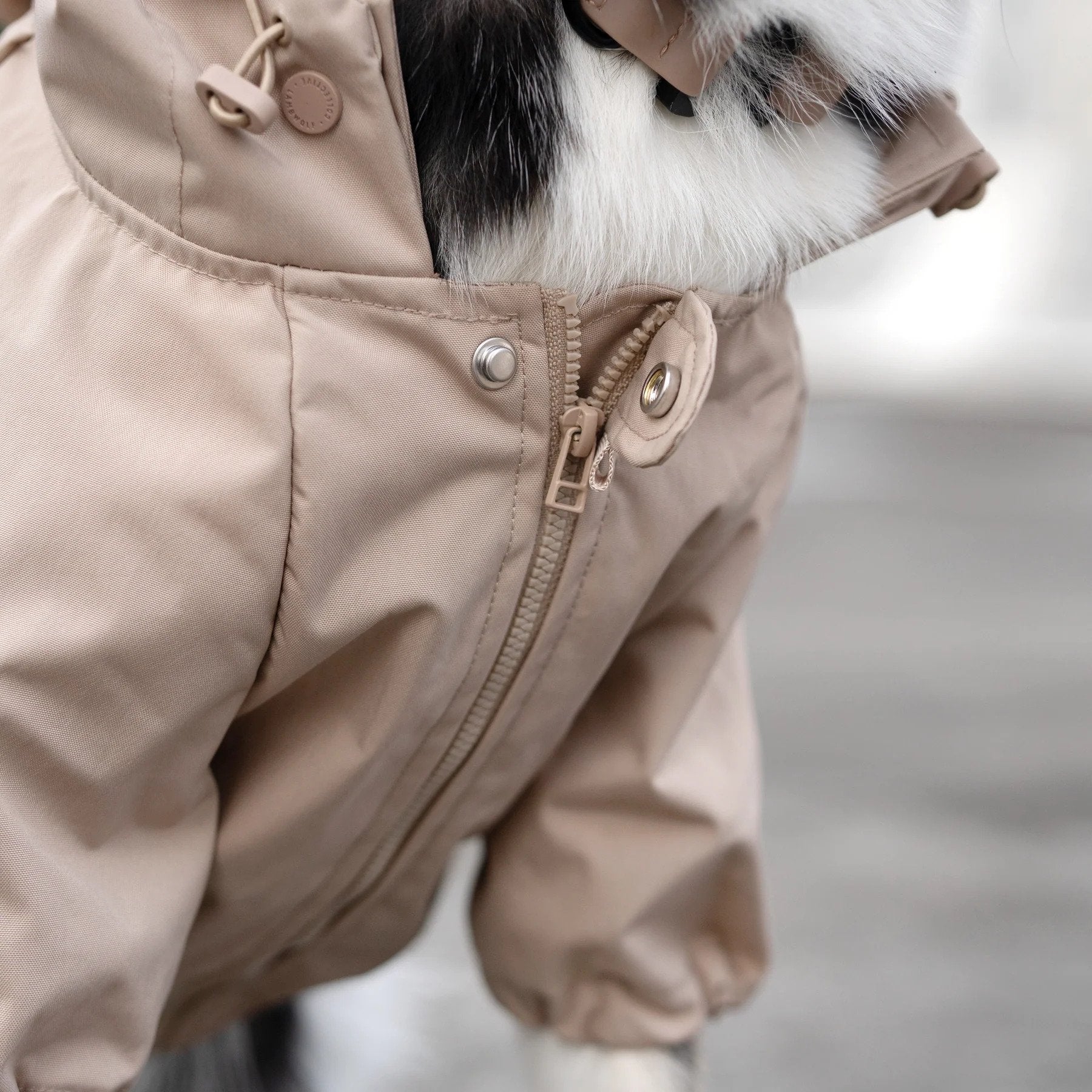 Waterproof Dog Raincoat for Small & Medium Dogs - Lightweight & Reflective Pet Rain Jacket for Walking in Brooklyn Parks & Urban Adventures