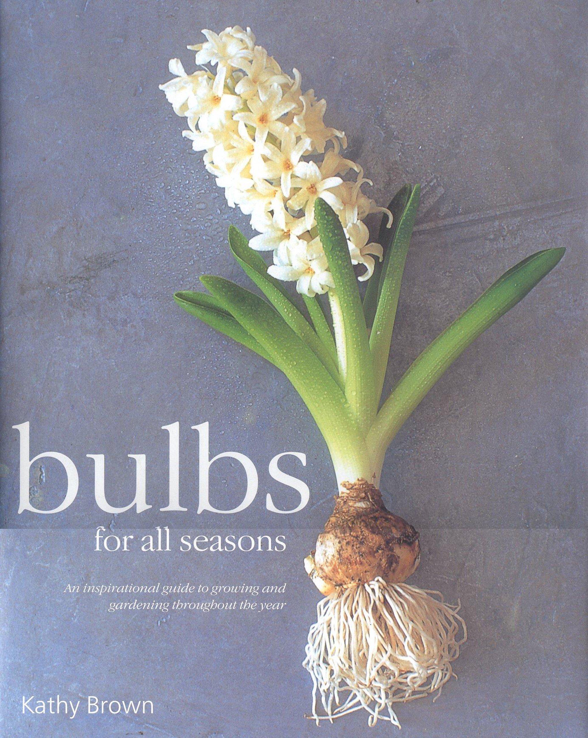 Best Bulbs for All Seasons: Complete Guide to Year-Round Gardening & Flower Growing | Perfect for Home Gardens, Landscaping & Outdoor Decor