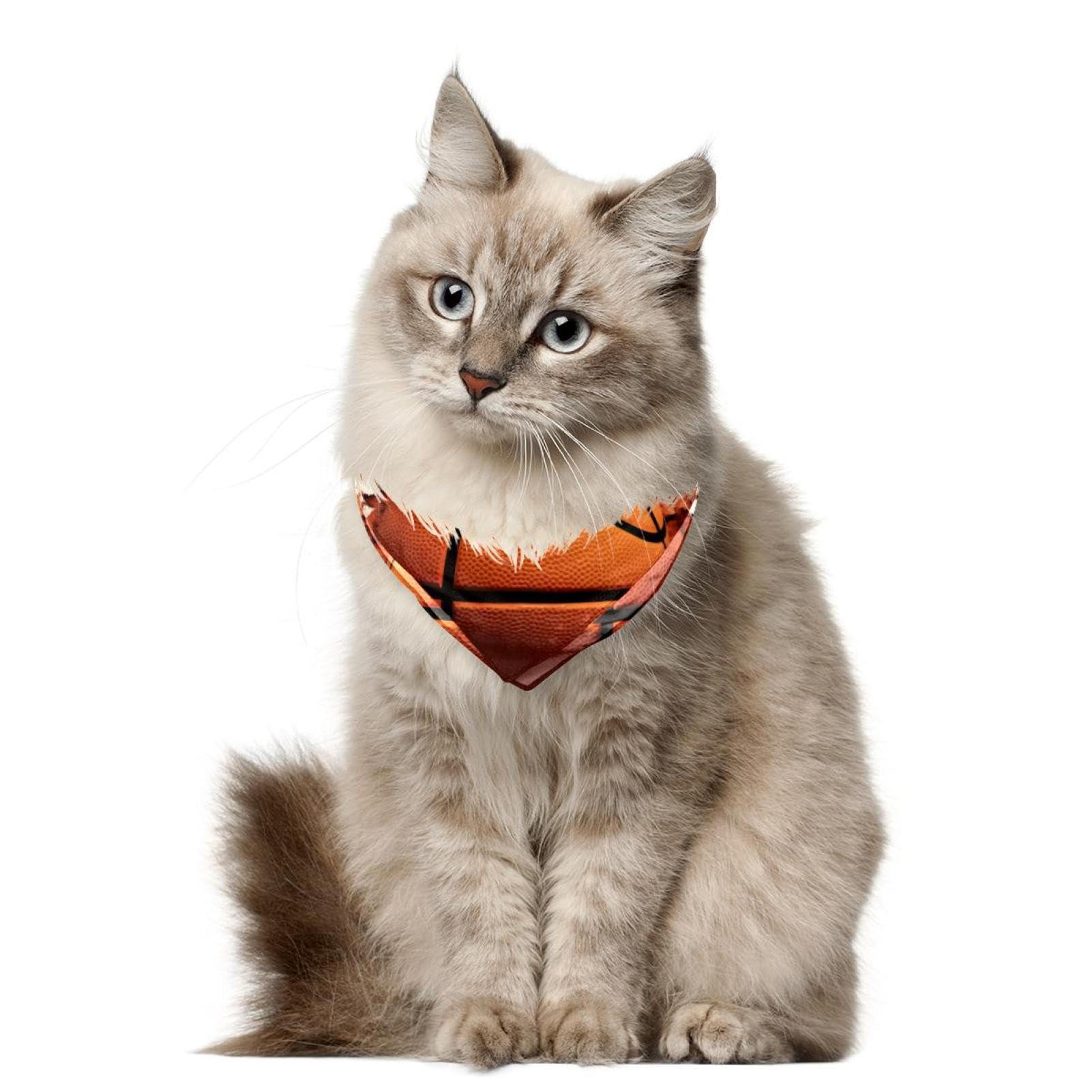 3D Pattern Basketball Dog Bandanas - 2-Piece Set for Small, Medium & Large Pets - Adjustable Dog Scarf & Cat Bandana Accessories - Perfect for Pet Parties, Photo Shoots & Daily Walks
