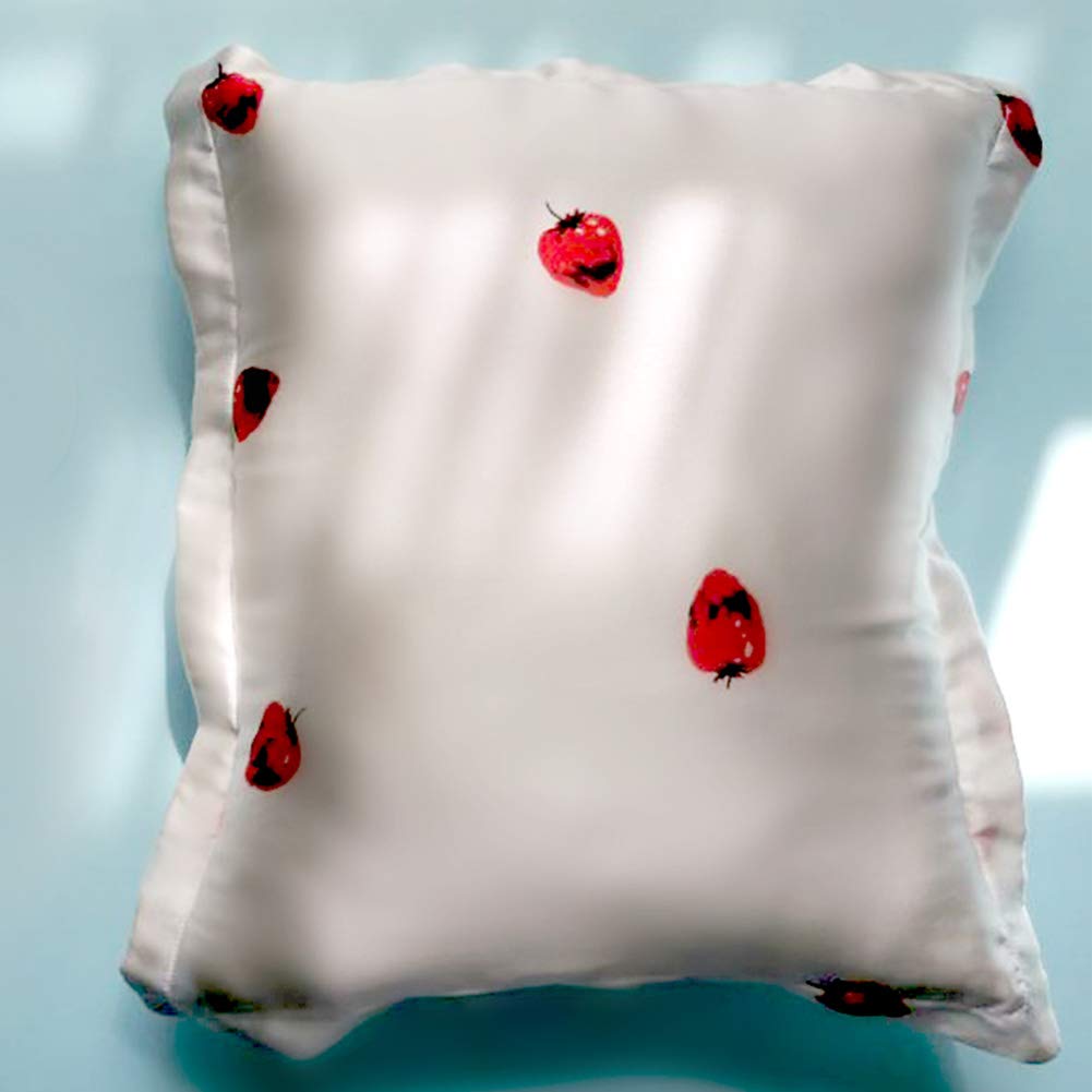 THXSILK 100% 19 Momme Silk Throw Pillow Cover - Hypoallergenic for Skin & Hair Care, Strawberry Print Decorative Cushion for Sofa, Bed & Nap - White | Perfect for Home Decor, Gift & Relaxation