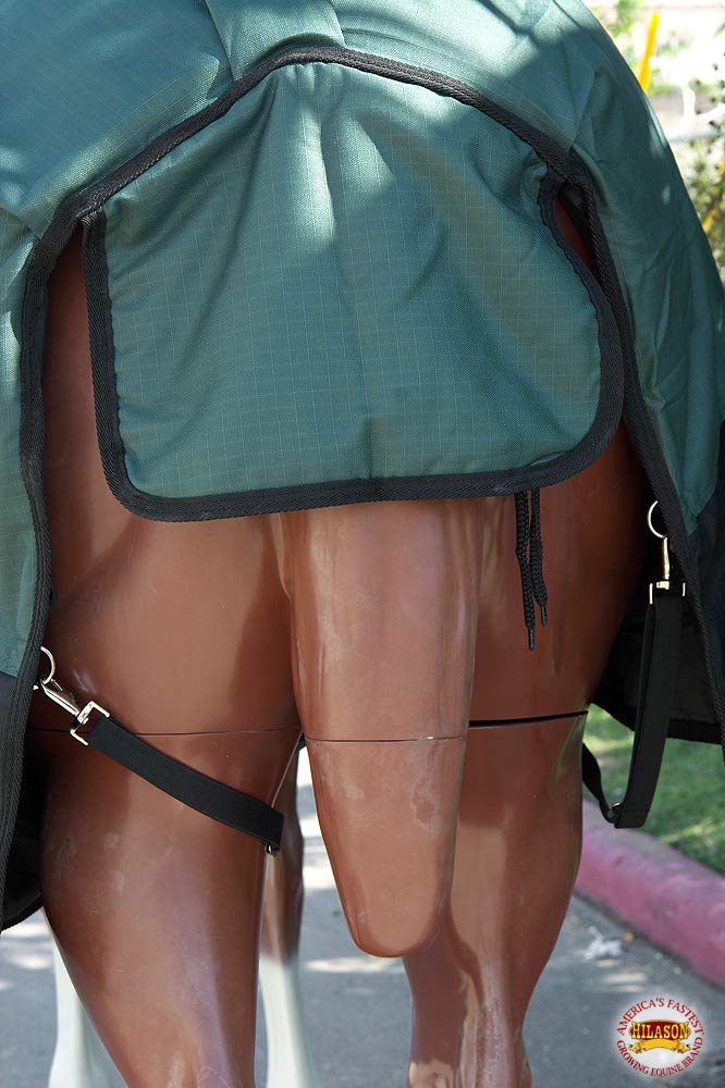 HILASON 1200D Winter Waterproof Poly Horse Blanket with Belly Wrap - 66 Inch Green | Heavy Duty Horse Rug for Cold Weather | Ideal for Trail Riding, Stable Use & Outdoor Protection