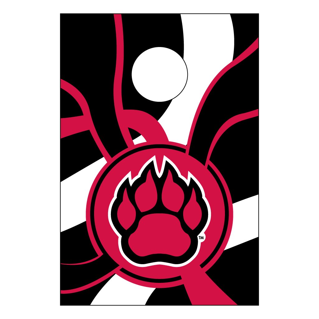 VictoryStore Cornhole Bag Toss Game Set - Northern Illinois University Themed Outdoor Lawn Game for Tailgating, Backyard Parties & College Events