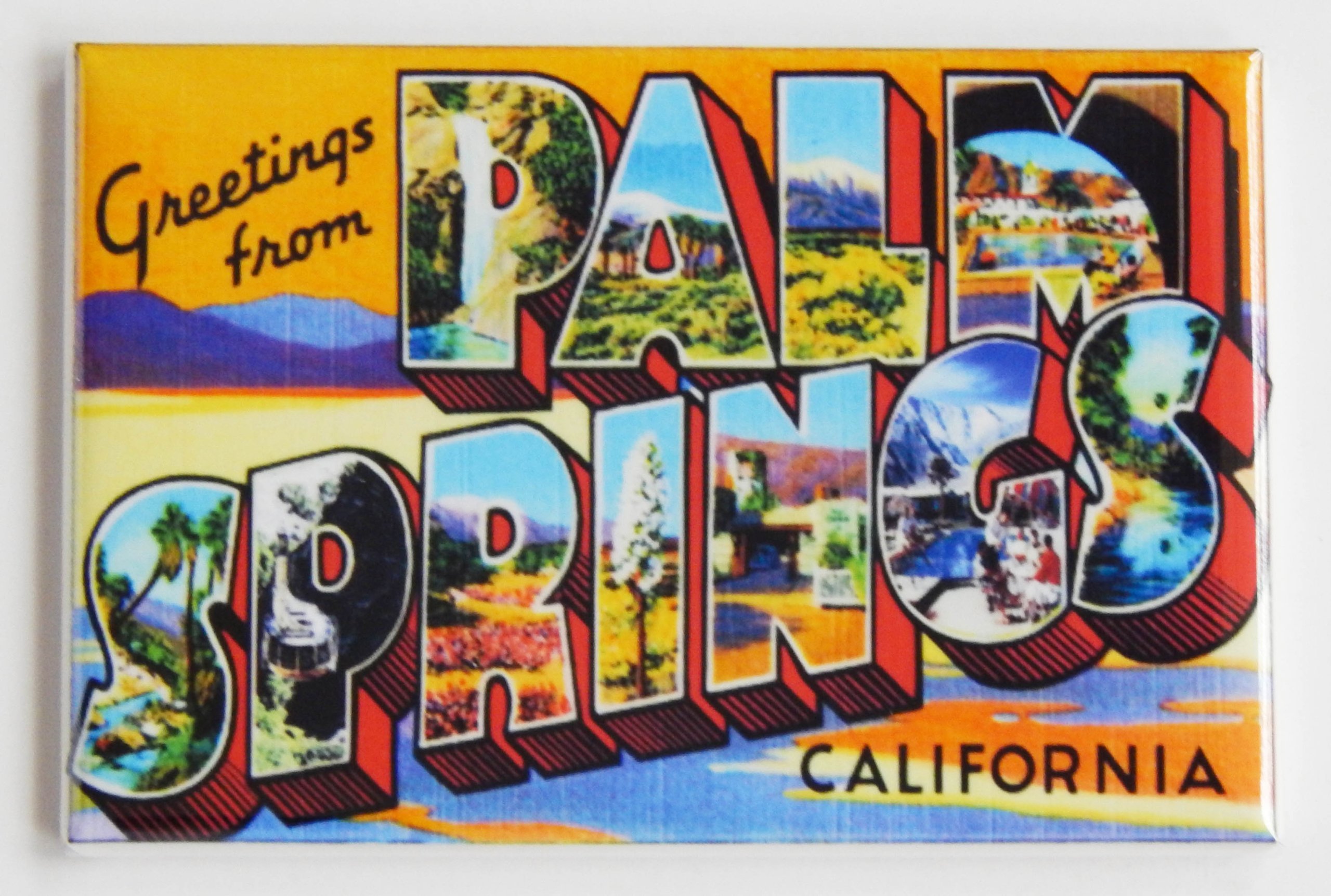 Palm Souvenir Fridge Magnet - 2x3 Inch California Travel Gift for Friends & Family - Perfect for Home, Office, or Travel Memories