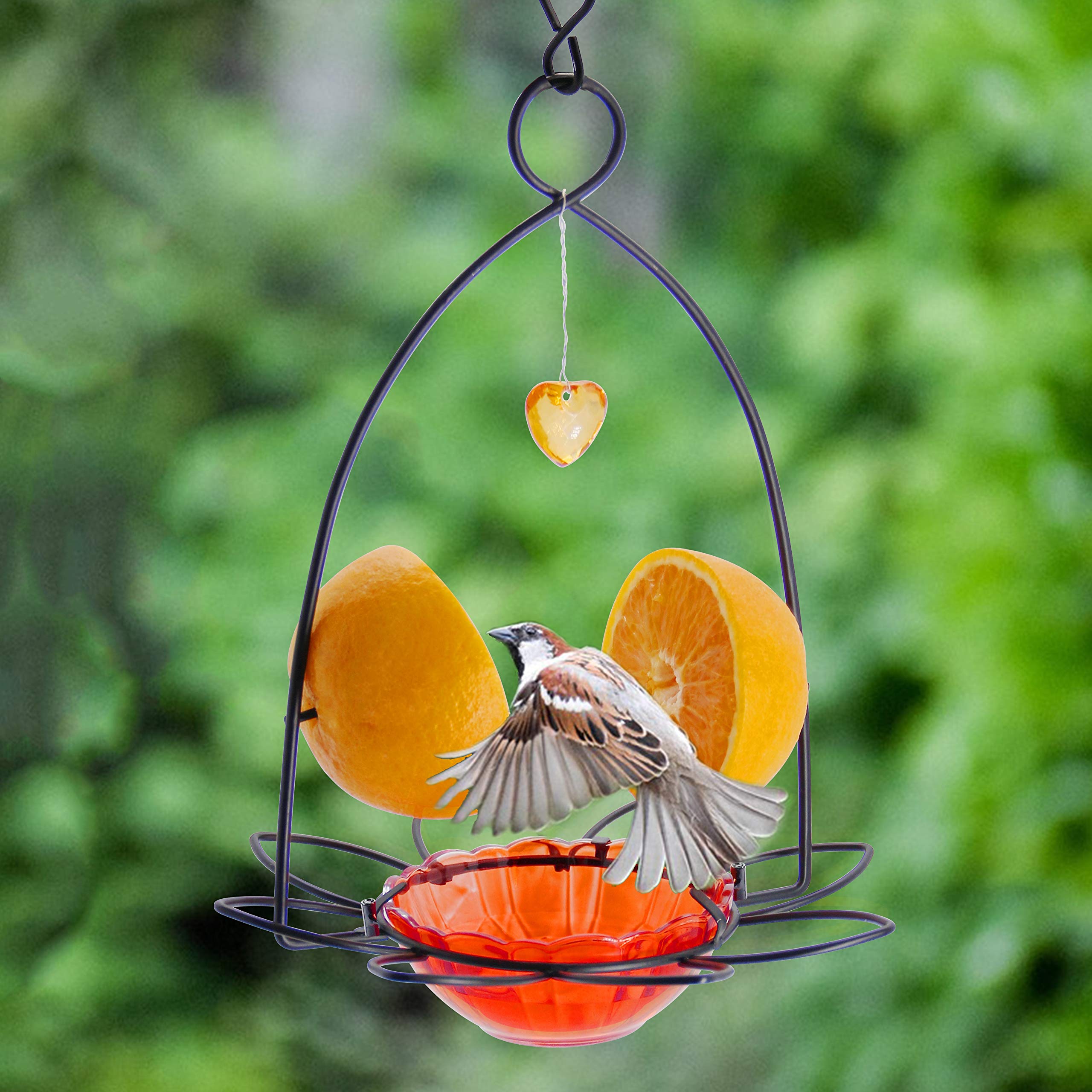 FORUP Oriole Bird Feeder with Orange Fruit Design - Attract Orioles to Your Garden | Perfect for Backyards, Patios & Outdoor Bird Watching