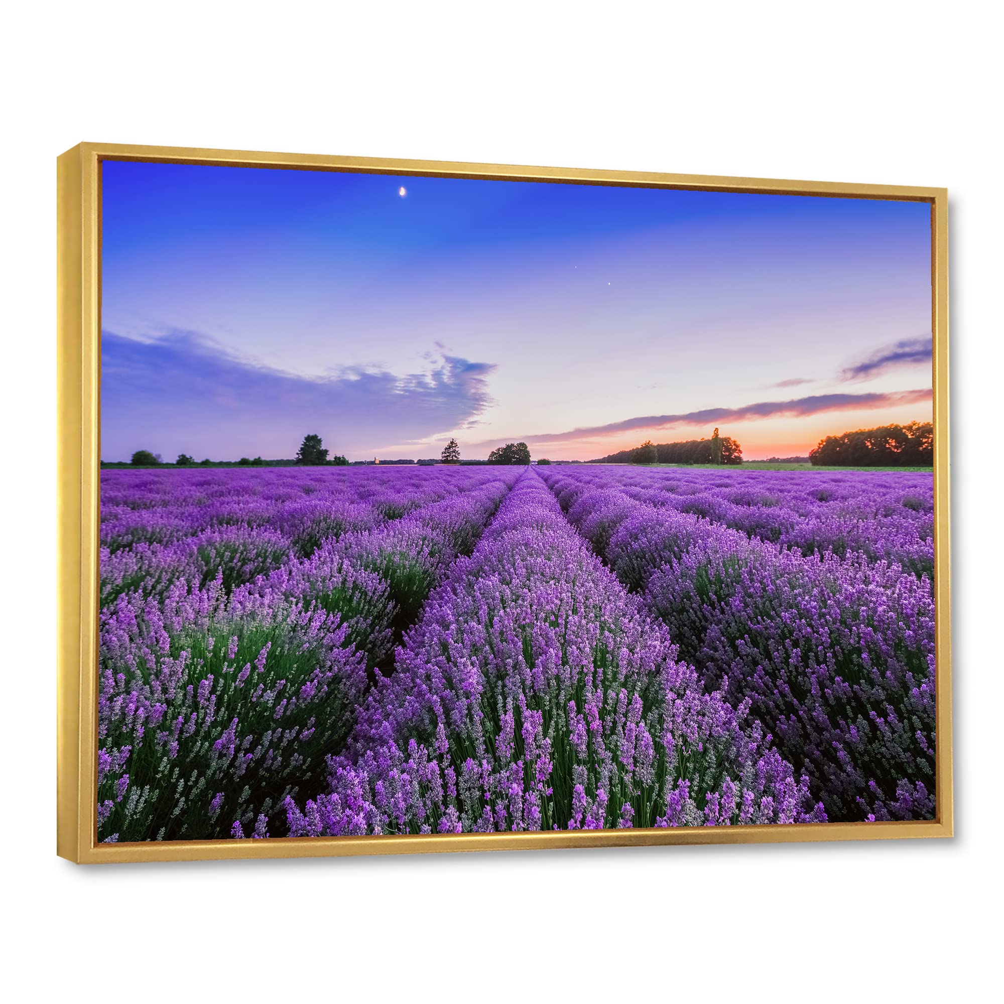 Sunrise & Dramatic Clouds Over Lavender Field II - Farmhouse Framed Canvas Wall Art Print for Living Room, Bedroom & Office Decor