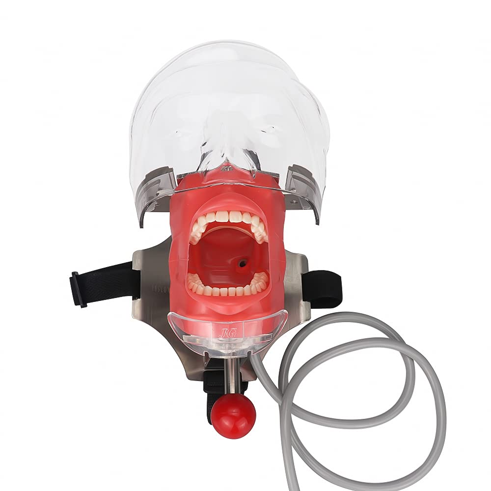Dental Phantom Head Simulator with Bench Mount - Realistic Dental Training Manikin for Students & Professionals | Perfect for Dental Practice, Education & Clinical Training
