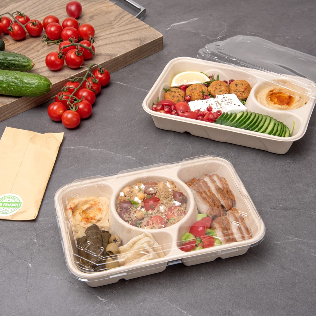 Restaurantware 100-Pack Disposable PET Plastic Lids for To-Go Containers - 9.5 x 6.4 Inch Clear Pulp Tek Lids (Containers Sold Separately) - Perfect for Food Service, Takeout Meals & Catering Events