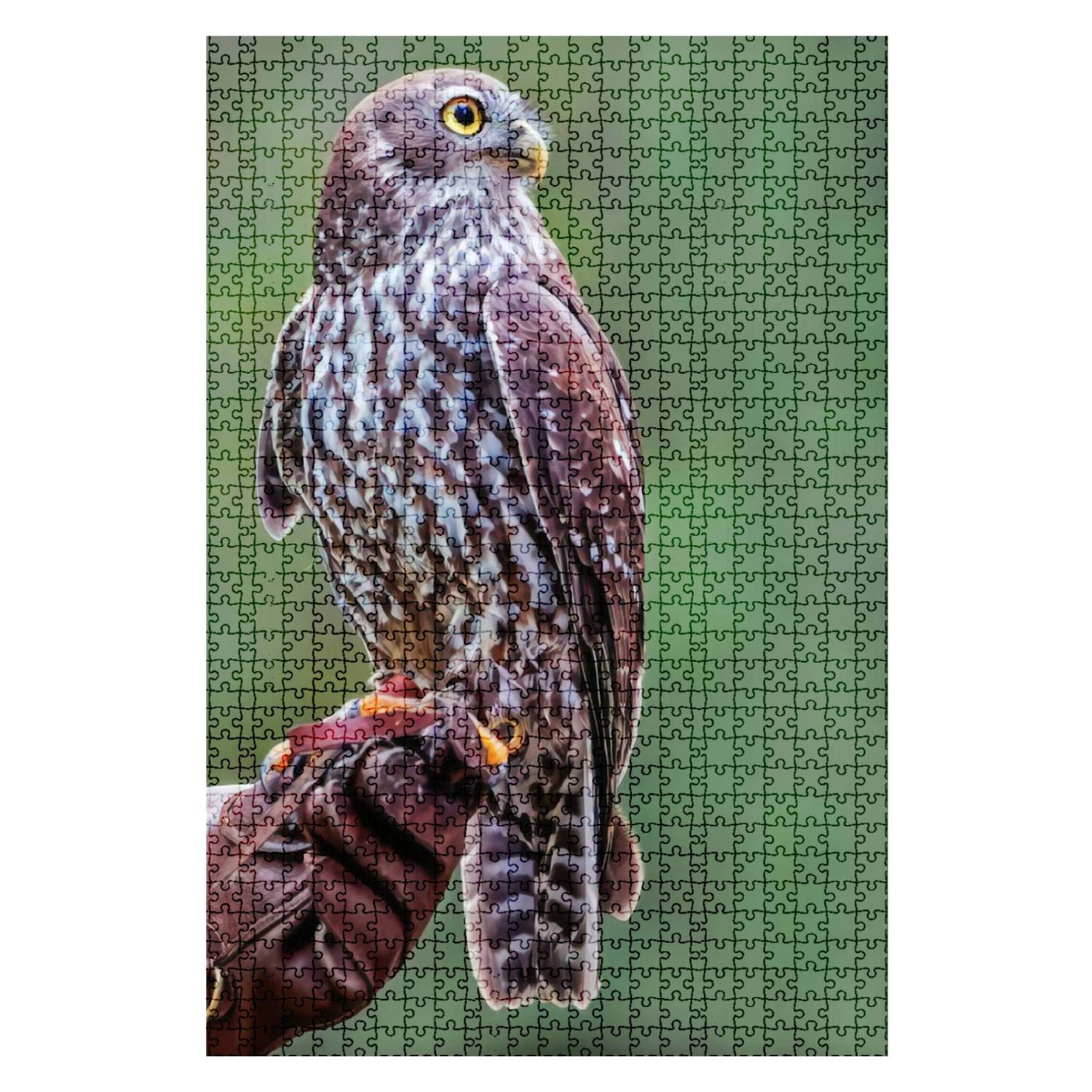 1000 Pieces Wooden Jigsaw Puzzle - Barking Owl Ninox Connivens Portrait - Fun & Challenging DIY Board Game for Adults & Kids - Educational Toy & Home Decor Gift (Perfect for Family Game Nights & Stress Relief)