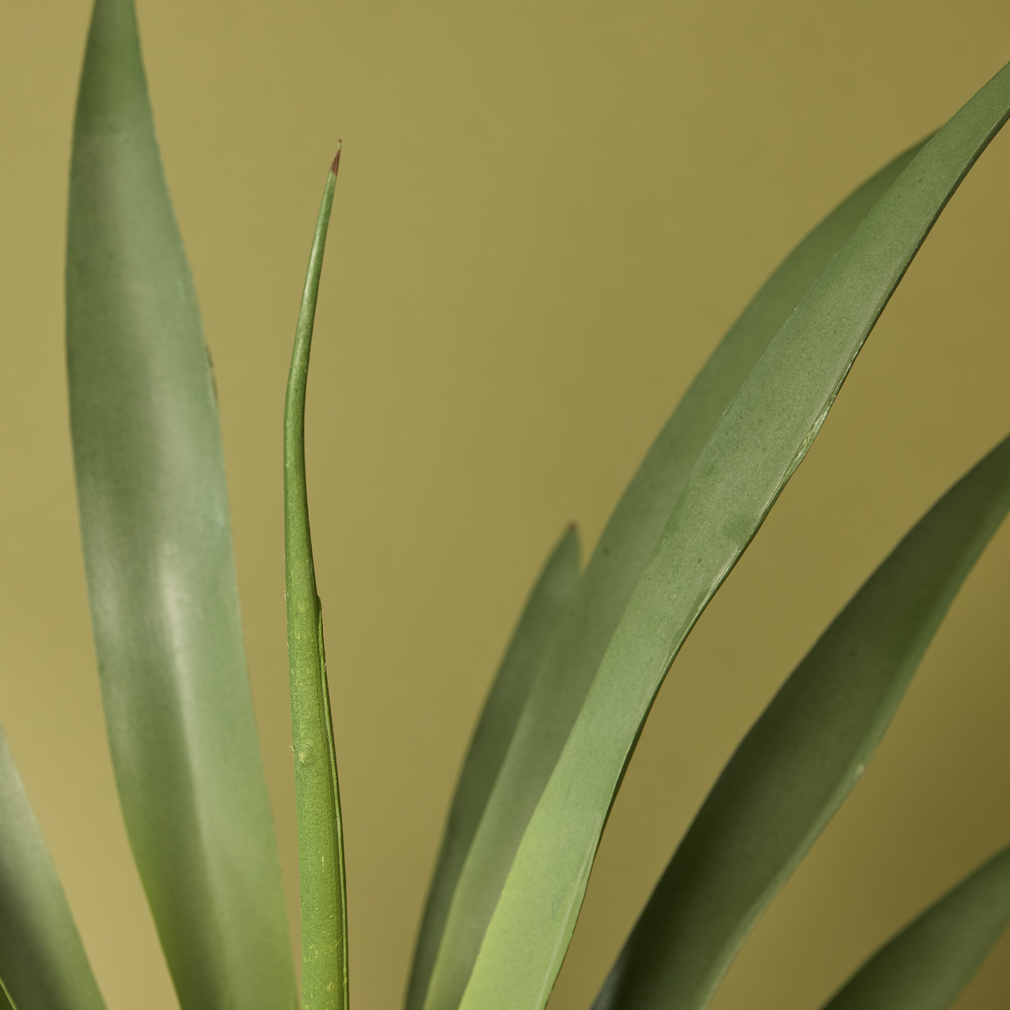Premium Faux Yucca Plant in Lyon Planter - 78cm Tall Cream Artificial Tree for Home & Office Decor - Perfect for Living Room, Bedroom, or Indoor Spaces
