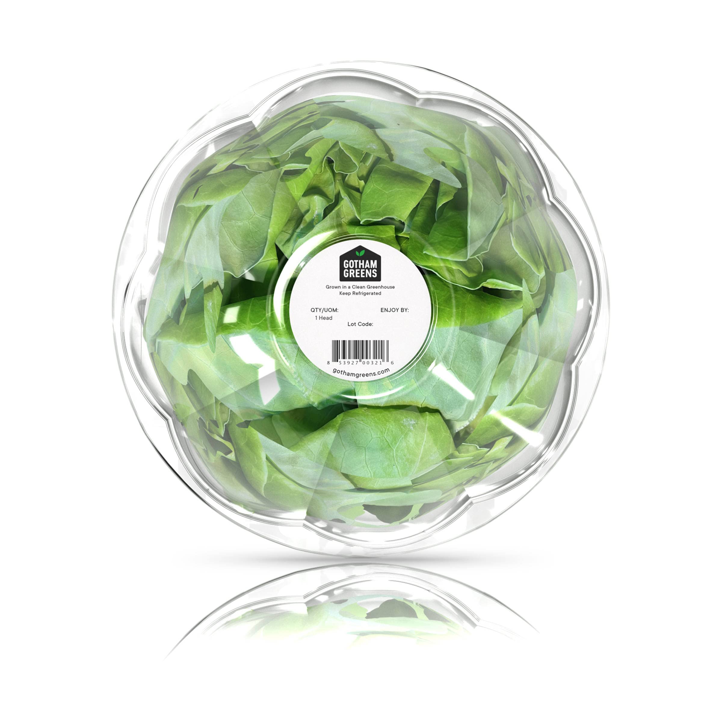 Gotham Greens Organic Baby Butterhead Lettuce - Fresh, Crisp & Nutrient-Rich Salad Greens for Healthy Eating | Perfect for Salads, Sandwiches & Gourmet Dishes