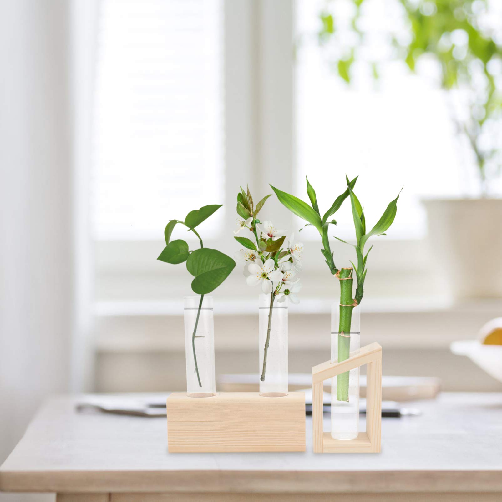 2pcs Glass Test Tube Vase Set - Cabilock Hydroponic Planter for Flowers, Herbs & Succulents | Desktop Water Container with Wood Stand for Home, Office Decor & Plant Propagation