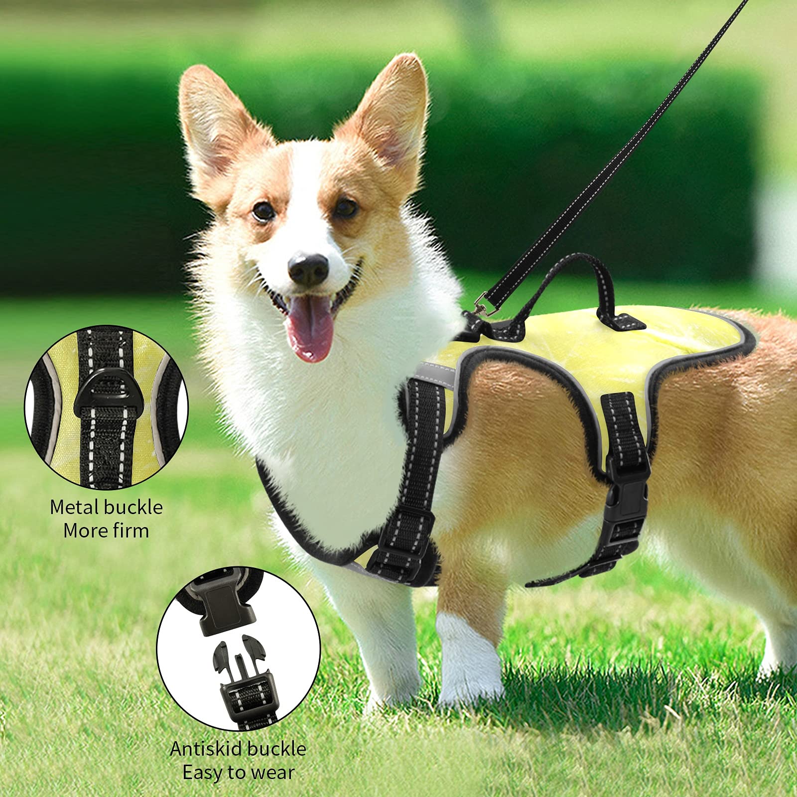 Adjustable Soft Padded Lemon Fruit Slice Dog Harness with Leash - Reflective No-Choke Pet Oxford Vest for Small Dogs | Easy Control Handle for Walking, Running & Outdoor Adventures