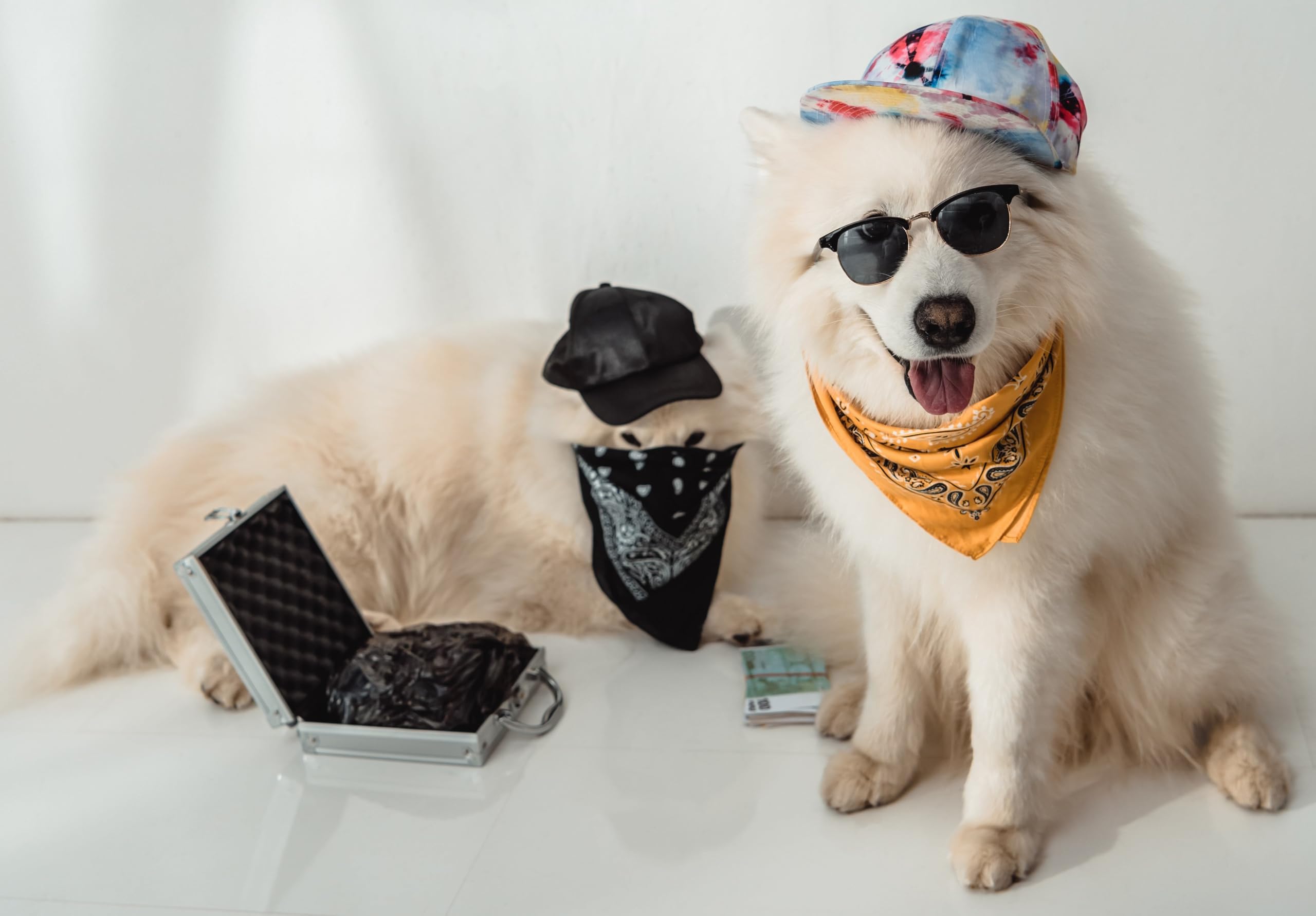 Balec Dog Solid Cotton Bandanas - 5 Pack Soft Triangle Scarf Bibs for Small & Medium Dogs - Perfect for Daily Walks, Grooming, and Pet Fashion Accessories