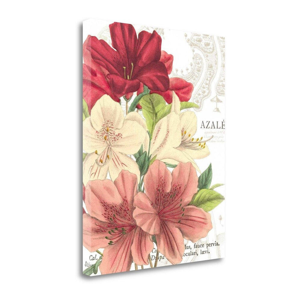Azalee Jardin II By Wild Apple - Premium Giclee Print on Gallery Wrapped Canvas - Perfect for Living Room, Bedroom & Office Wall Decor