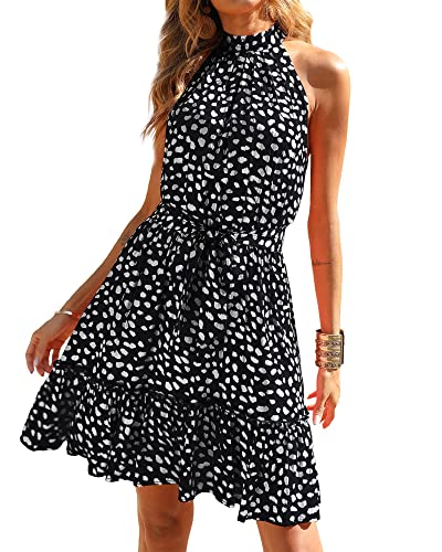 White Dot Black