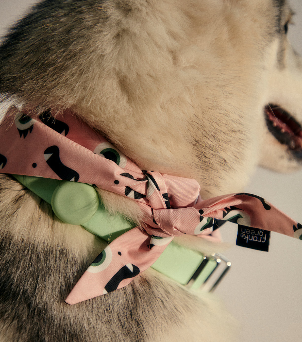 Stylish Pet Bandanas for Dogs & Cats - Soft & Comfortable Dog Bandana & Cat Scarf - Perfect for Holidays, Birthdays & Everyday Wear