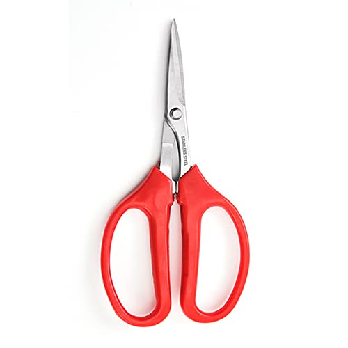 Straight Edge 16cm